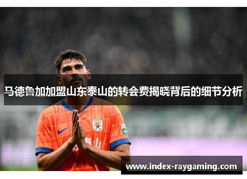 马德鲁加加盟山东泰山的转会费揭晓背后的细节分析