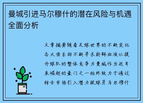 曼城引进马尔穆什的潜在风险与机遇全面分析