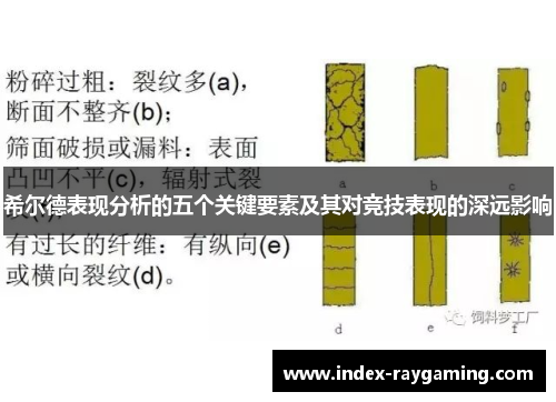 希尔德表现分析的五个关键要素及其对竞技表现的深远影响