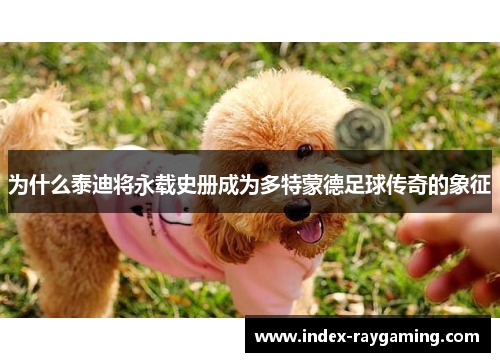 为什么泰迪将永载史册成为多特蒙德足球传奇的象征