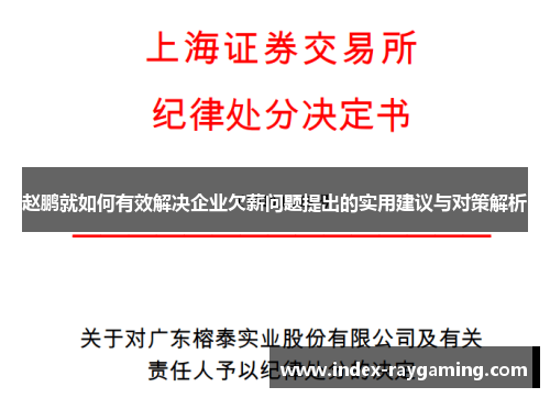 赵鹏就如何有效解决企业欠薪问题提出的实用建议与对策解析