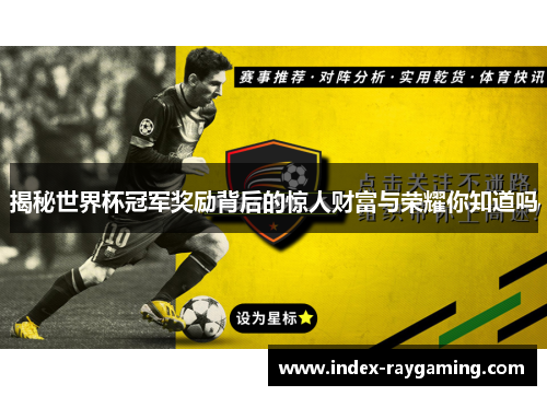揭秘世界杯冠军奖励背后的惊人财富与荣耀你知道吗